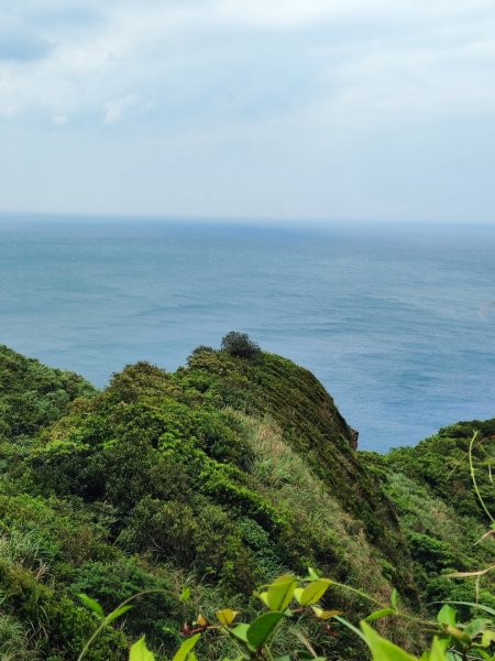 南雅山-門牙岩-鐵達尼岩-海園古道-鼻頭角3040496