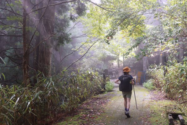 高野参詣道：不動坂に始まり祈りは奥の院へ2923228