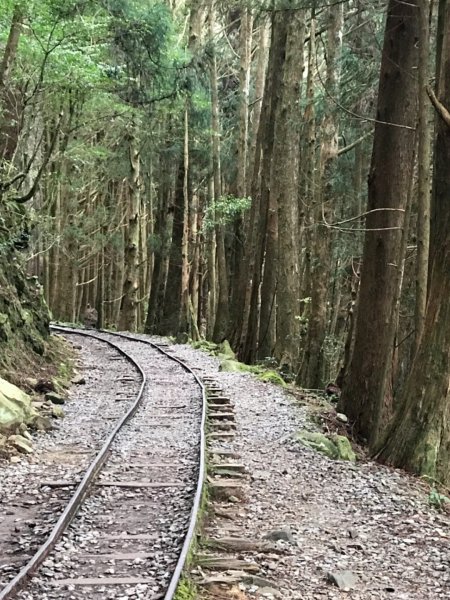 特富野古道903206