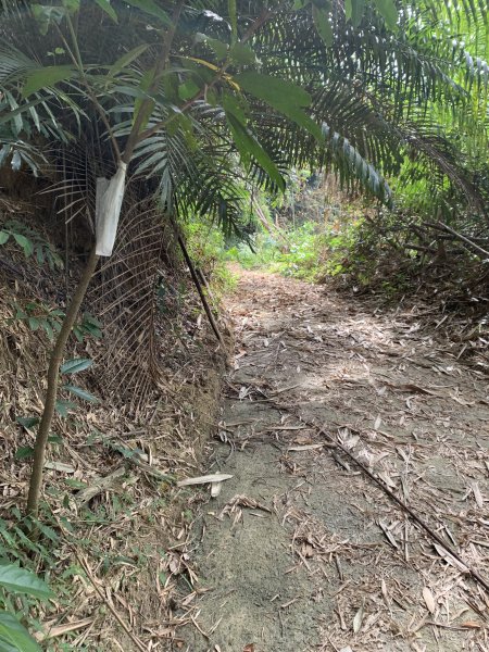 20251024台南邦埤山-三崁山2925688