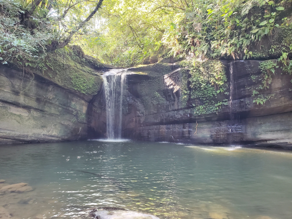 嶺腳火車站，靈巖寺滴水觀音賞艷紅鹿子百合，嶺腳寮山，望古瀑布，望古火車站