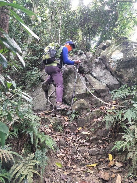 2019 10 29 三腳南山登山步道717746