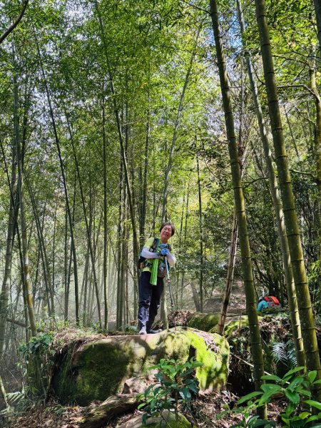 豹牙登山口上鳳凰山/小百岳#533069667