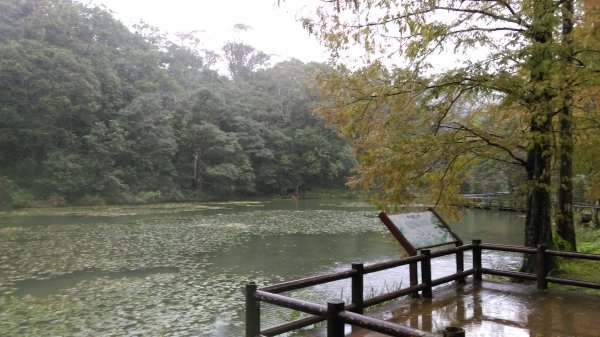 原始自然 〜 福山植物園462833