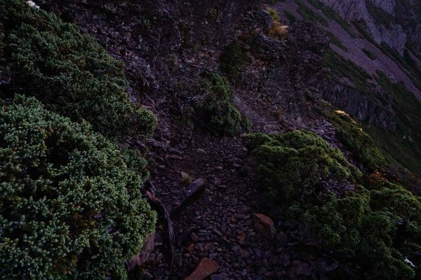 2018-06-02玉山主峰，東峰434177