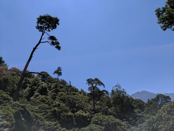 大太陽之奇萊南華行177895