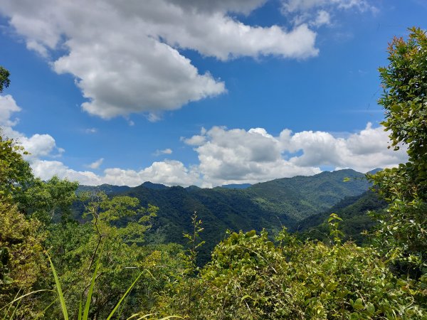 眉冷山梅島山202208071797247