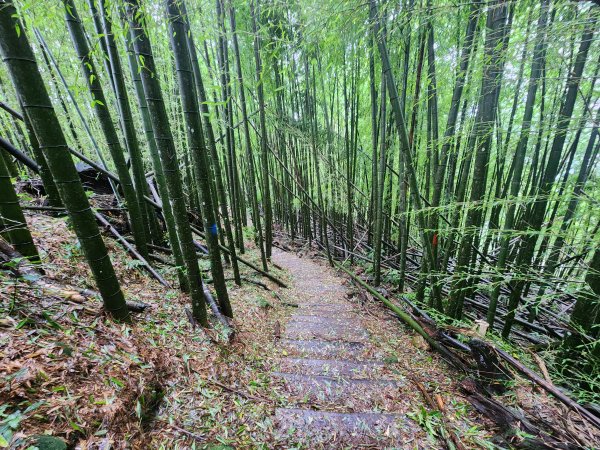 20250719頂湖上大凍山2907143