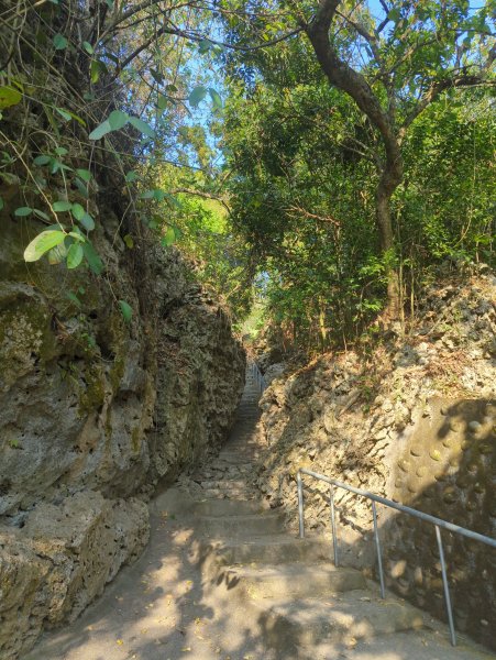 2025.03.24－大崗山2746349