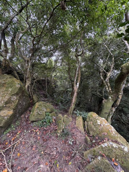 20251108白雲山步道2935205