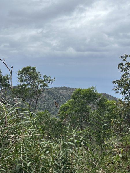 小百岳-里龍山2752584