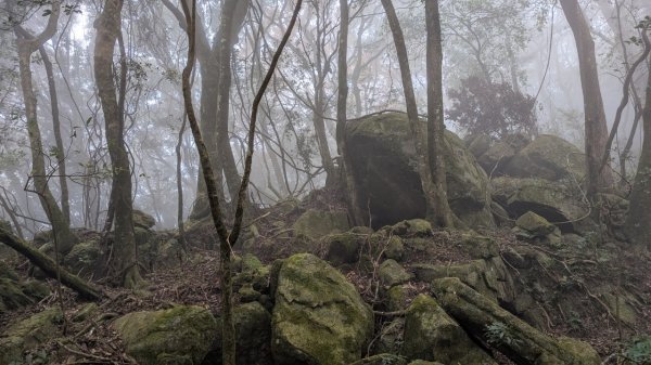 橫龍山、橫龍古道2682955