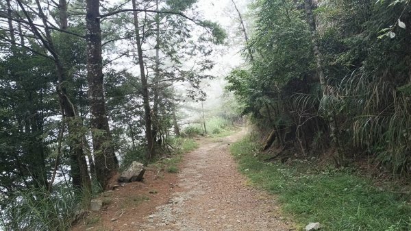 20251010 大雪山國家森林遊樂區 - 船型山林道 登 烏石坑山2911123