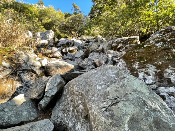 玉山前峰1658205