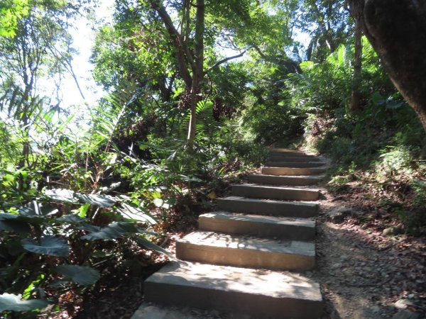 彰化桃源里森林步道+龍鳳谷森林步道2696095