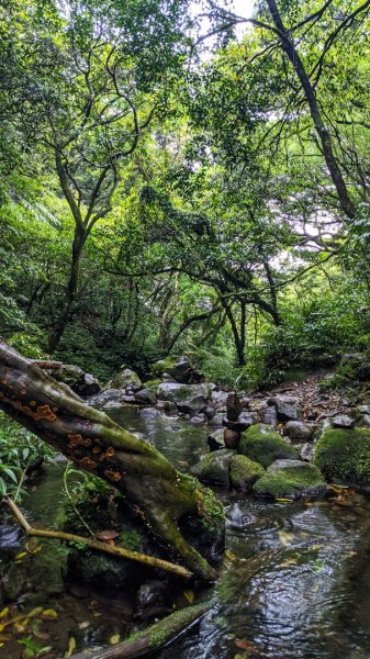 小觀音山西西峰 - 西峰 - 北峰935470