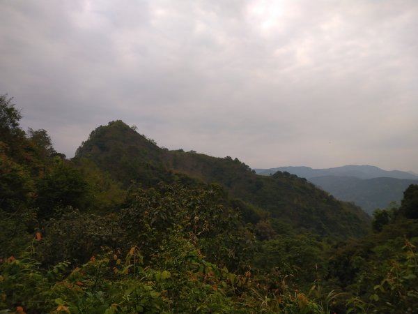 九九峰森林步道-(南投百大步道)1186202