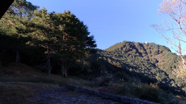 東埔山+鹿林前山+鹿林山+麟趾山228952