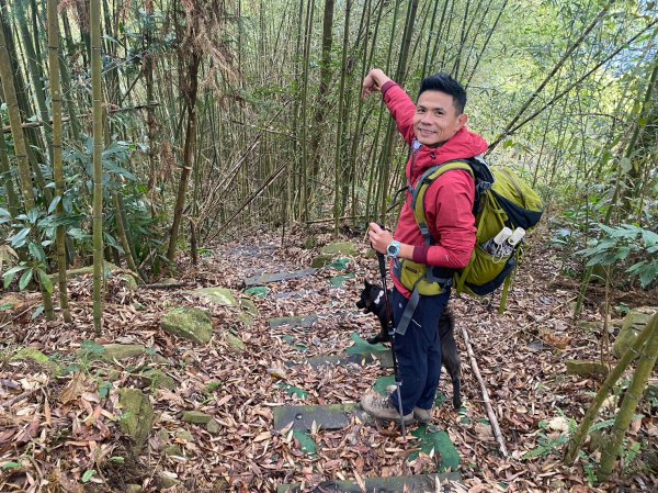 烏嘎彥竹林步道.馬都安古道【因為堅持 所以更顯珍貴】2064456