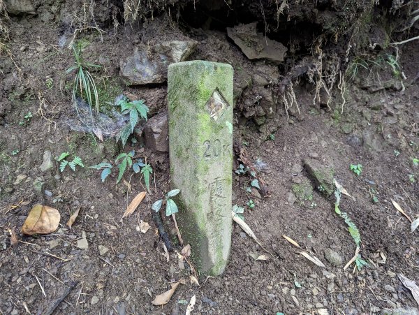 霞喀羅國家步道：養老登山口→白石吊橋(來回)1948473