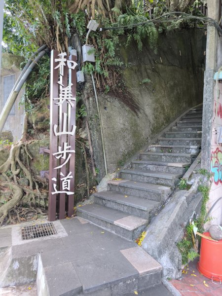 20250917微笑山線：【二格山系】和美山螢火蟲段2888884