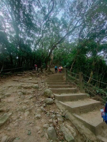 新竹［飛鳳山+中坑山+石壁潭山+大板根o形縱走］2231637