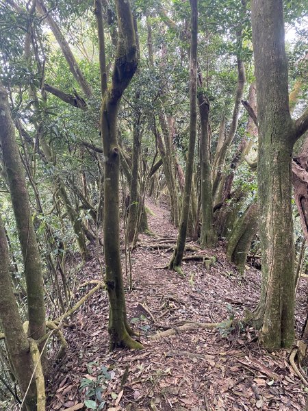 坐公車接駁的神仙縱走2707420