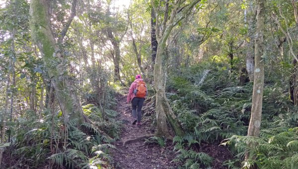 (姨婆趴趴走)第三十八集:攀登新北石碇小格頭獅頭山，探訪翡翠水庫的鱷魚島、千島湖、土虱頭景觀2416798