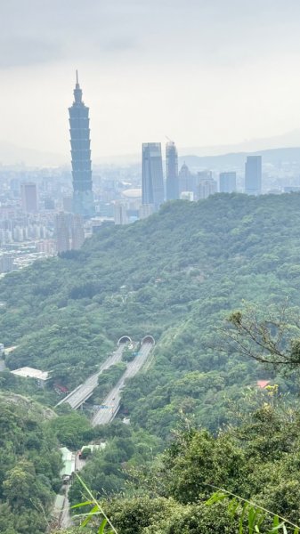 臺北大縱走第六段：中華科大到富陽生態公園2156013