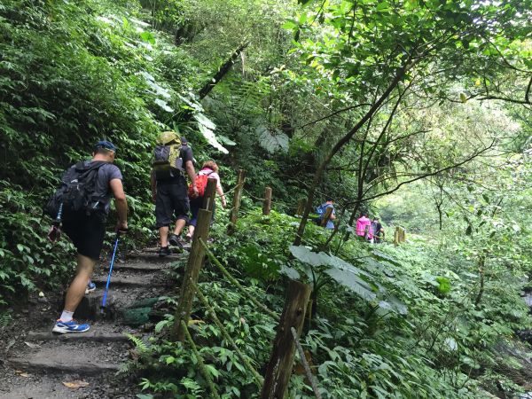 礁溪聖母山莊登山步道354518