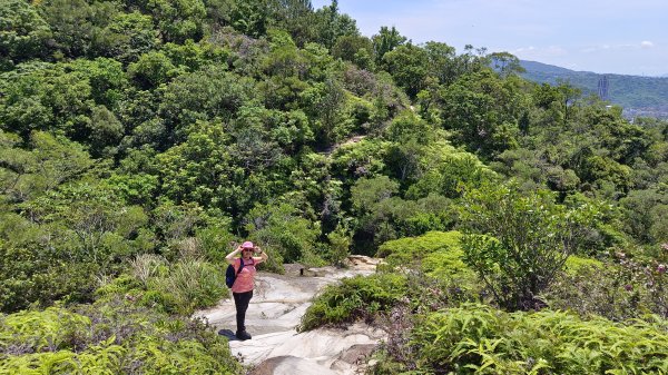 (姨婆趴趴走)第四十三集:攀登連走奇岩山、軍艦岩、丹鳳山2499514