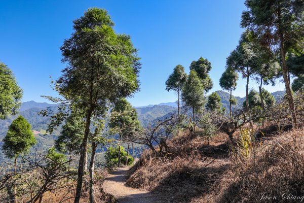 [苗栗]馬那邦山2355201