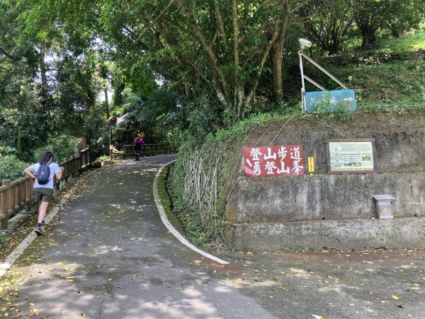 獅山古道2545577