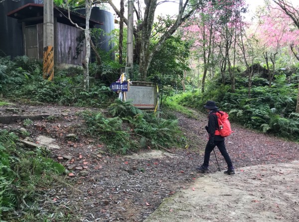 南庄向天湖環山步道256108