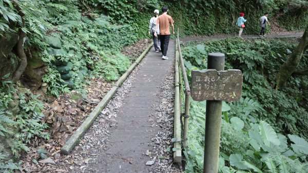 林美石磐步道登山健行趣(步道)2273750