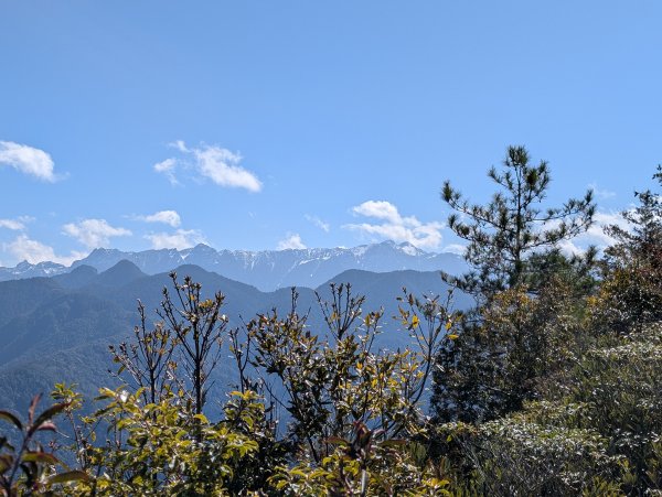 觀霧國家森林遊樂區和包場的榛山三角點2724178