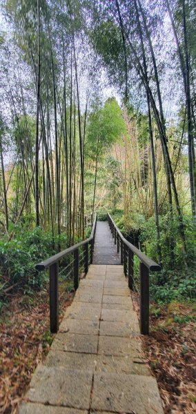 2025-01-18頂湖步道2694218