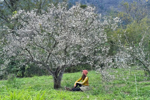 北港溪大峽谷 惠蓀林場2693032