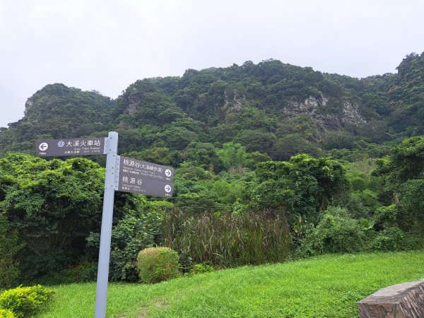 新北桃源谷步道（大溪線）3106353