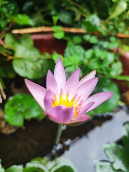 微笑山線之新店和美山-銀河洞2847795