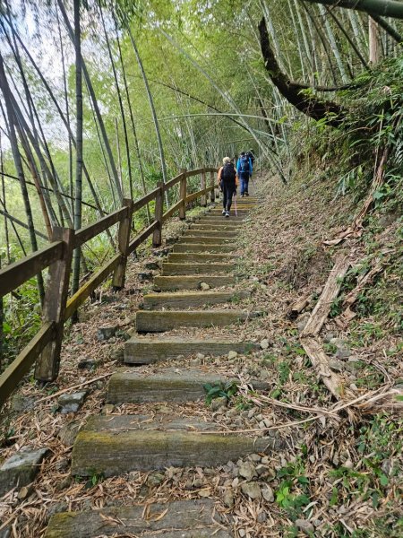20241214竹崎15連峰(四大天王山到大湖尖山路況荒涼)2668994