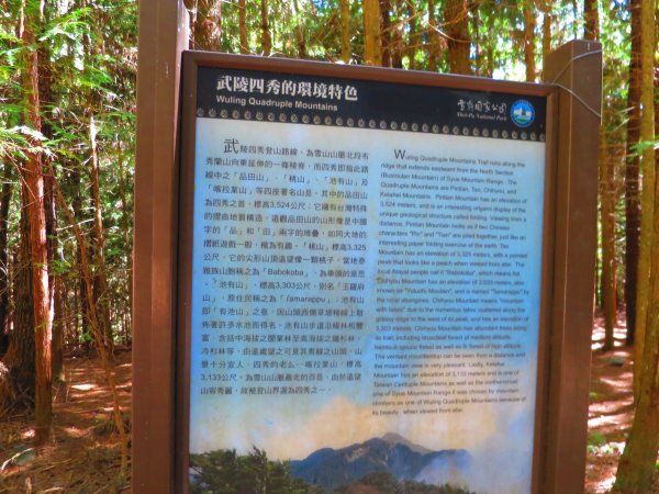 如童話般的森林步道-武陵桃山瀑布步道1190747