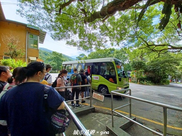 【台北北投】搭捷運公車爬山趣。 小百岳集起來。編號1小百岳~大屯山主峰步道1762757