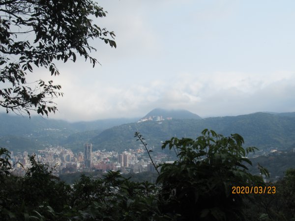 劍潭山步道904736