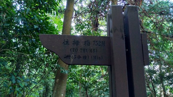 【小百岳】五指山O型1469522