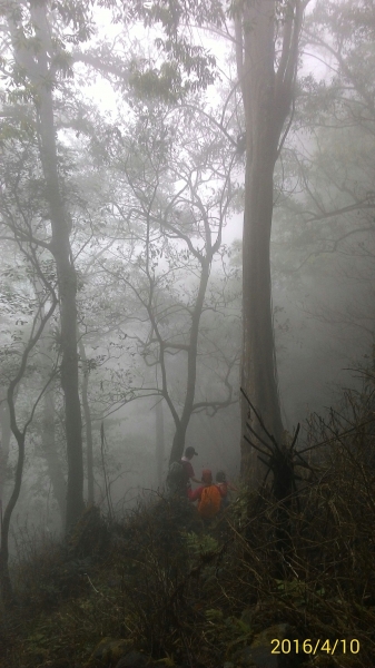 20160410新竹五指山34524