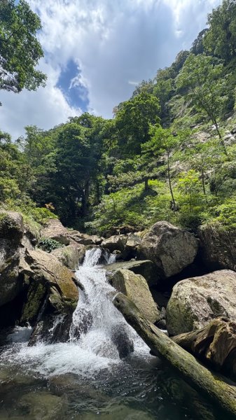 戲水（鴛鴦2786731