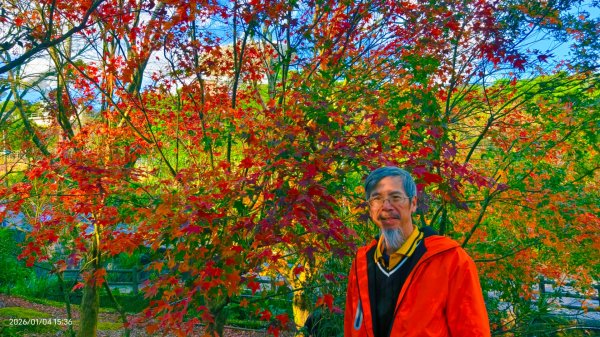 #花卉試驗中心 #永公路500巷 #平菁街42巷 #原住民公園 #士林官邸 1/42976620