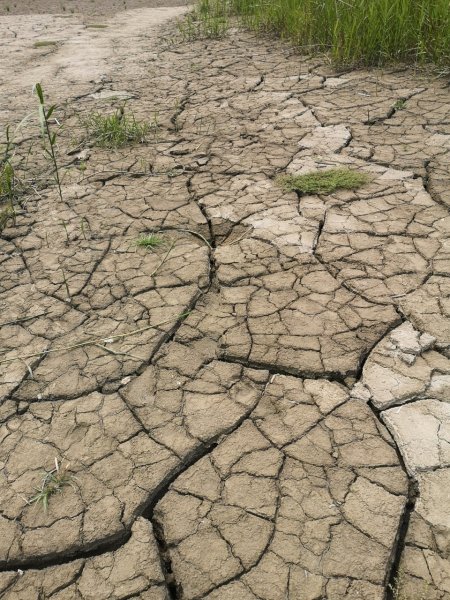 泳渡進入大地谷957172