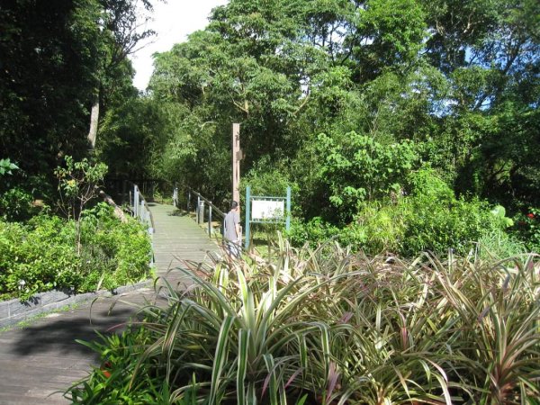 士林  雙溪濕地公園，雙溪公園步道    現代與古典 今非昔比之強烈對比。內雙溪自然中心步道2268115